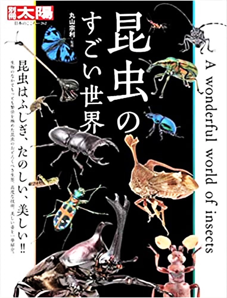 昆虫のすごい世界 丸山宗利監修 平凡社 2,640円 ARTCUBE SHOP